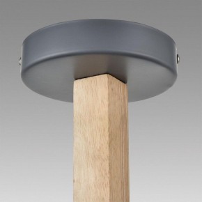 Люстра на штанге Lumion Colange 8096/6C в Тавде - tavda.ok-mebel.com | фото 9