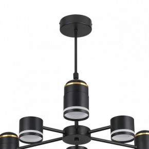 Люстра на штанге Lumion Virsava 8234/6C в Тавде - tavda.ok-mebel.com | фото 5