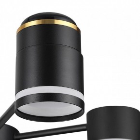 Люстра на штанге Lumion Virsava 8234/6C в Тавде - tavda.ok-mebel.com | фото 8