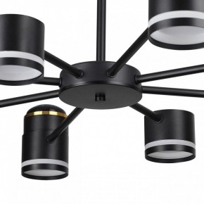 Люстра на штанге Lumion Virsava 8234/8C в Тавде - tavda.ok-mebel.com | фото 10