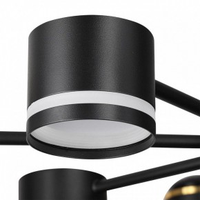 Люстра на штанге Lumion Virsava 8234/8C в Тавде - tavda.ok-mebel.com | фото 8
