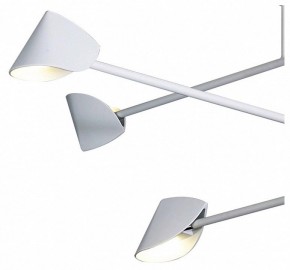 Люстра на штанге Mantra Capuccina 7570 в Тавде - tavda.ok-mebel.com | фото 4