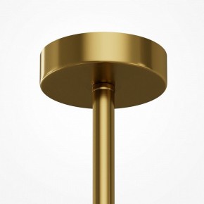 Люстра на штанге Maytoni Museo MOD436PL-07BS в Тавде - tavda.ok-mebel.com | фото 5