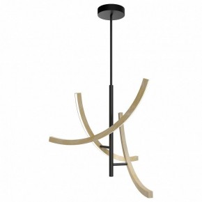 Люстра на штанге Maytoni Wabi MOD428PL-L27BK в Тавде - tavda.ok-mebel.com | фото