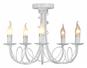 Люстра на штанге Vitaluce V3035 V3035-0/5PL в Тавде - tavda.ok-mebel.com | фото 2