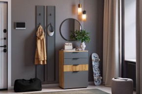 МЕБЕЛЬСОН К21 Прихожая  (графит) в Тавде - tavda.ok-mebel.com | фото