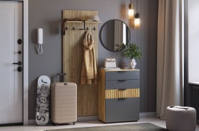 МЕБЕЛЬСОН К3 Прихожая в Тавде - tavda.ok-mebel.com | фото 2