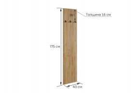 МЕБЕЛЬСОН К7 Прихожая в Тавде - tavda.ok-mebel.com | фото 4