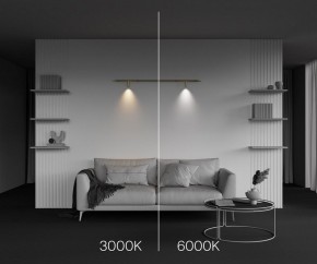 Модульный светильник Maytoni Focus LED C102CL-3W3-6K-BS в Тавде - tavda.ok-mebel.com | фото 4