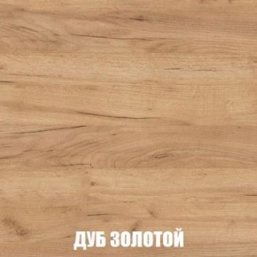 МСП-1 Шкаф 2-х створчатый (Дуб Золотой/Камень темный) в Тавде - tavda.ok-mebel.com | фото 4