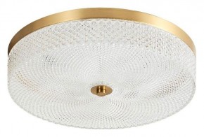 Накладной светильник Arti Lampadari Viro Viro L 1.13.35x9 G в Тавде - tavda.ok-mebel.com | фото