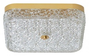 Накладной светильник Arti Lampadari Viro Viro L 1.13.36x36 G в Тавде - tavda.ok-mebel.com | фото