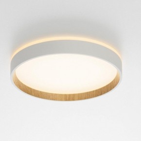 Накладной светильник Citilux Etalon CL750240 в Тавде - tavda.ok-mebel.com | фото 12