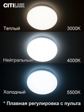 Накладной светильник Citilux Симпла CL714330G в Тавде - tavda.ok-mebel.com | фото 4