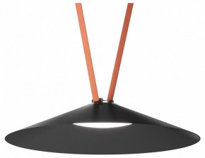 Накладной светильник Denkirs Belty Flow DK5568-BK в Тавде - tavda.ok-mebel.com | фото 2