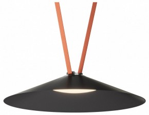 Накладной светильник Denkirs Belty Flow DK5569-BK в Тавде - tavda.ok-mebel.com | фото 2