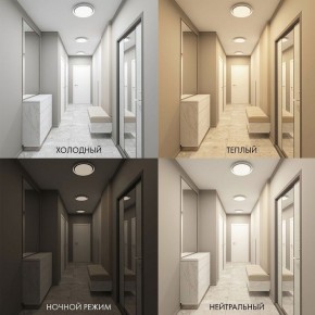 Накладной светильник Denkirs Cany DK6516-WH в Тавде - tavda.ok-mebel.com | фото 2