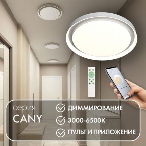 Накладной светильник Denkirs Cany DK6516-WH в Тавде - tavda.ok-mebel.com | фото 4