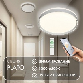 Накладной светильник Denkirs PLATO DK6511-WH/1 в Тавде - tavda.ok-mebel.com | фото 4
