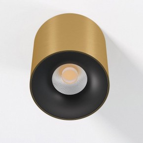 Накладной светильник Elektrostandard Primo 25116/LED в Тавде - tavda.ok-mebel.com | фото 2