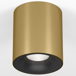Накладной светильник Elektrostandard Primo 25116/LED в Тавде - tavda.ok-mebel.com | фото 2