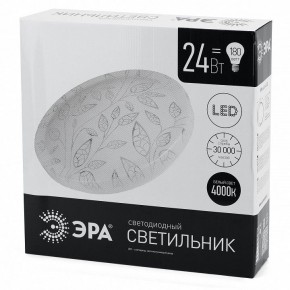 Накладной светильник Эра Классик SPB-6-24-4K (C) в Тавде - tavda.ok-mebel.com | фото 4