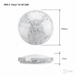 Накладной светильник Эра Классик SPB-6-24-4K (C) в Тавде - tavda.ok-mebel.com | фото 6
