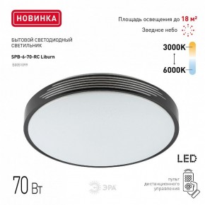 Накладной светильник Эра Классик SPB-6-70-RC Liburn в Тавде - tavda.ok-mebel.com | фото 10