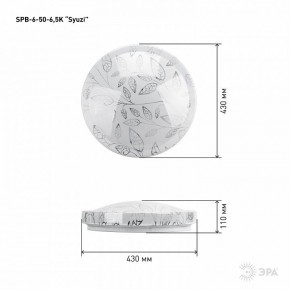 Накладной светильник Эра Relict SPB-6-50-6,5K Syuzi в Тавде - tavda.ok-mebel.com | фото 3