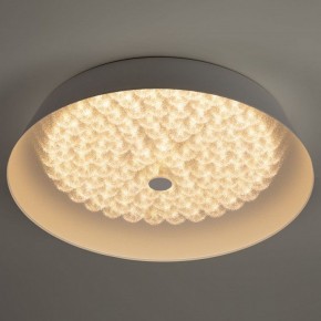 Накладной светильник Эра  SPB-6-60-RC Locus RGB в Тавде - tavda.ok-mebel.com | фото 6