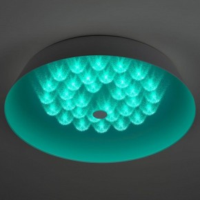 Накладной светильник Эра  SPB-6-60-RC Locus RGB в Тавде - tavda.ok-mebel.com | фото 8