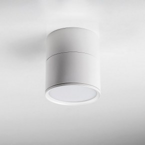 Накладной светильник Lightstar Acuto 215886 в Тавде - tavda.ok-mebel.com | фото 3
