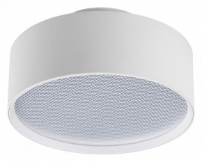 Накладной светильник Lightstar Acuto 215936 в Тавде - tavda.ok-mebel.com | фото