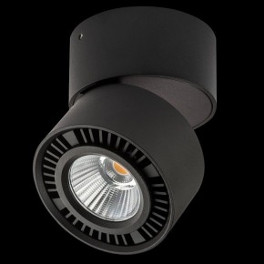 Накладной светильник Lightstar Forte Muro 214817 в Тавде - tavda.ok-mebel.com | фото 2