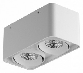 Накладной светильник Lightstar Monocco 052126-IP65 в Тавде - tavda.ok-mebel.com | фото