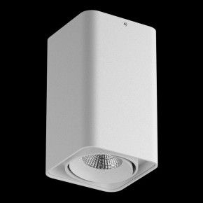 Накладной светильник Lightstar Monocco 052136-IP65 в Тавде - tavda.ok-mebel.com | фото 2