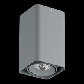 Накладной светильник Lightstar Monocco 052139-IP65 в Тавде - tavda.ok-mebel.com | фото 2