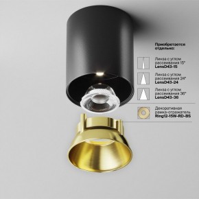 Накладной светильник Maytoni Alfa LED C064CL-12W4K-RD-B в Тавде - tavda.ok-mebel.com | фото 3