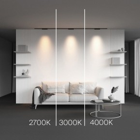 Накладной светильник Maytoni Points TR193-1-10W2.7K-M-B в Тавде - tavda.ok-mebel.com | фото 2