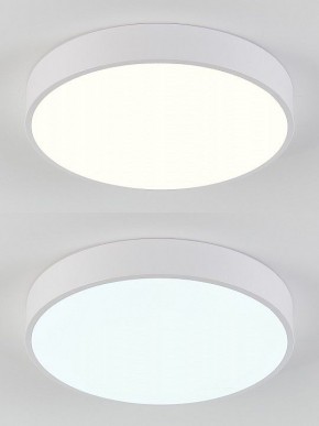 Накладной светильник Natali Kovaltseva  LED LAMPS 81111/5C в Тавде - tavda.ok-mebel.com | фото 4