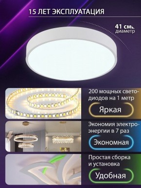 Накладной светильник Natali Kovaltseva  LED LAMPS 81111/5C в Тавде - tavda.ok-mebel.com | фото 5
