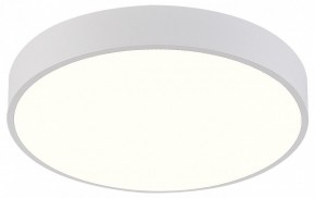 Накладной светильник Natali Kovaltseva  LED LAMPS 81112/5C в Тавде - tavda.ok-mebel.com | фото