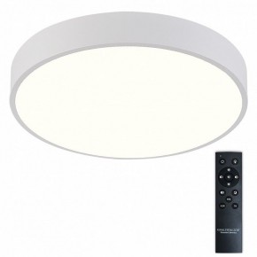 Накладной светильник Natali Kovaltseva  LED LAMPS 81112/5C в Тавде - tavda.ok-mebel.com | фото 2
