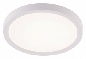 Накладной светильник Natali Kovaltseva PLAIN LED LAMPS 81113/1C в Тавде - tavda.ok-mebel.com | фото
