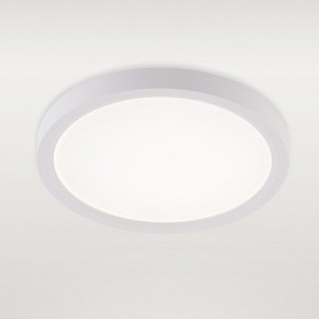 Накладной светильник Natali Kovaltseva PLAIN LED LAMPS 81113/1C в Тавде - tavda.ok-mebel.com | фото 2
