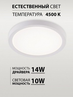 Накладной светильник Natali Kovaltseva PLAIN LED LAMPS 81113/1C в Тавде - tavda.ok-mebel.com | фото 4