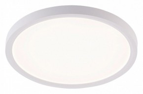 Накладной светильник Natali Kovaltseva PLAIN LED LAMPS 81113/2C в Тавде - tavda.ok-mebel.com | фото