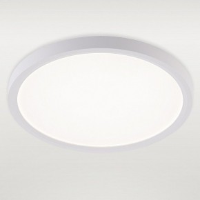 Накладной светильник Natali Kovaltseva PLAIN LED LAMPS 81113/2C в Тавде - tavda.ok-mebel.com | фото 2