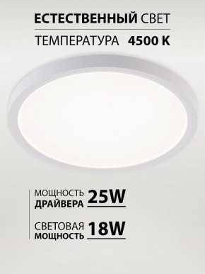 Накладной светильник Natali Kovaltseva PLAIN LED LAMPS 81113/2C в Тавде - tavda.ok-mebel.com | фото 3