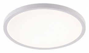 Накладной светильник Natali Kovaltseva PLAIN LED LAMPS 81113/3C в Тавде - tavda.ok-mebel.com | фото